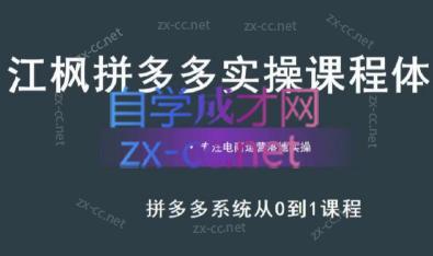 江枫老师·拼多多实操课程-梦凌网创