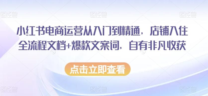 小红书电商运营从入门到精通，店铺入住全流程文档+爆款文案词，自有非凡收获-梦凌网创