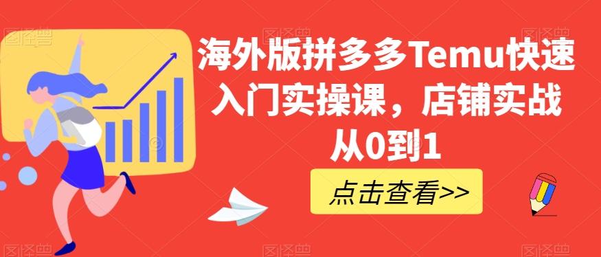 海外版拼多多Temu快速入门实操课，店铺实战从0到1-梦凌网创