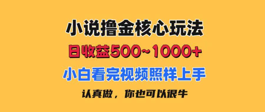 小说撸金核心玩法，日收益500-1000+，小白看完照样上手，0成本有手就行-梦凌网创