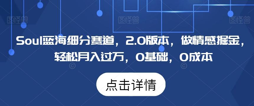 Soul蓝海细分赛道，2.0版本，做情感掘金，轻松月入过万，0基础，0成本-梦凌网创
