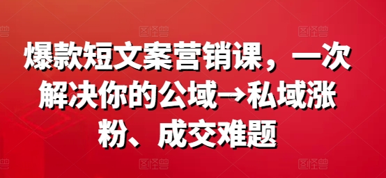爆款短文案营销课，一次解决你的公域→私域涨粉、成交难题-梦凌网创