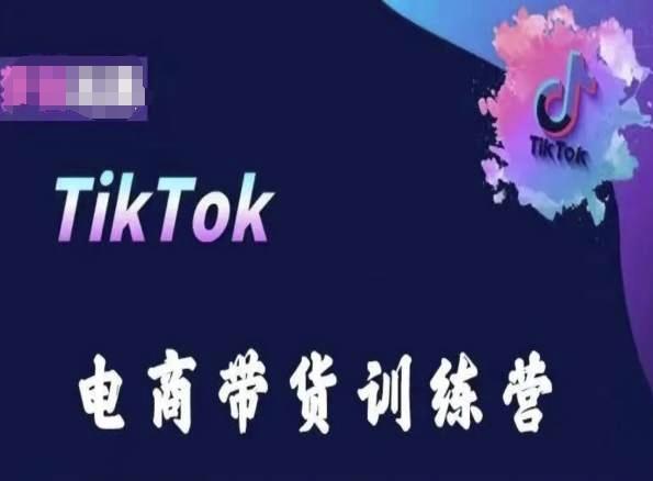 TikTok电商带货训练营，跟随时代潮流，跨境掘金-梦凌网创