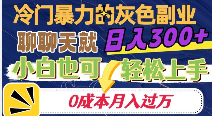 冷门暴利的副业项目，聊聊天就能日入300+，0成本月入过万【揭秘】-薪火元第一资源库