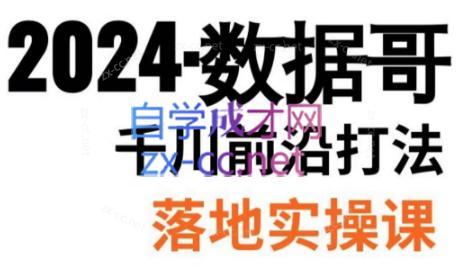 数据哥·2024年千川前沿打法落地实操课-梦凌网创