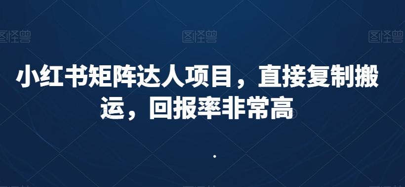 小红书矩阵达人项目，直接复制搬运，回报率非常高-薪火元第一资源库