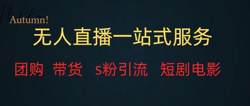 无人直播一站式服务（教程以及变现方式）-梦凌网创