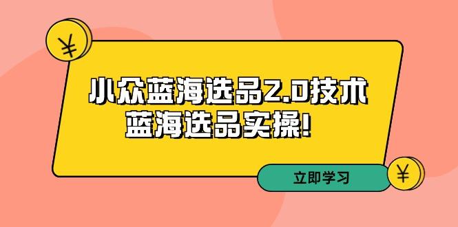 拼多多培训第33期：小众蓝海选品2.0技术-蓝海选品实操！-梦凌网创
