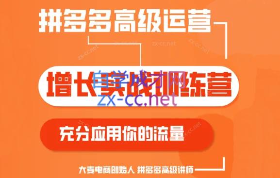 大麦老师·拼多多单品爆款打造课程(更新6月)-梦凌网创