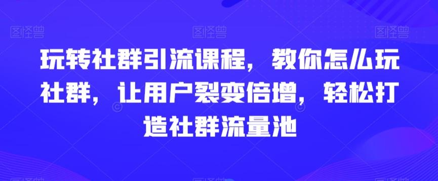 玩转社群引流课程，教你怎么玩社群，让用户裂变倍增，轻松打造社群流量池-梦凌网创