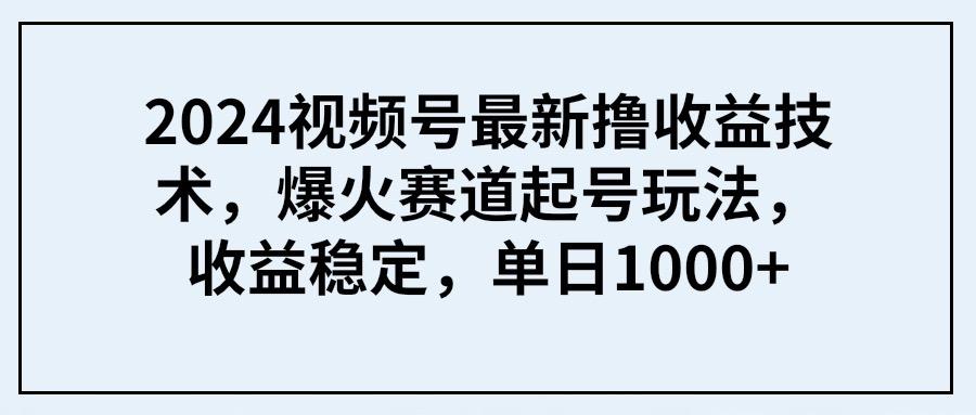 (9651期) 2024视频号最新撸收益技术，爆火赛道起号玩法，收益稳定，单日1000+-梦凌网创