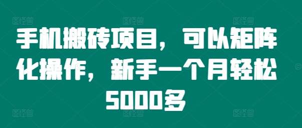 手机搬砖项目，可以矩阵化操作，新手一个月轻松5000多-梦凌网创