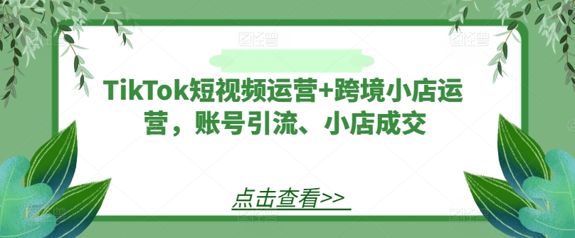 TikTok短视频运营+跨境小店运营，账号引流、小店成交-梦凌网创