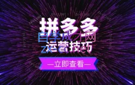 力辛电商·拼多多强付费店群玩法-梦凌网创