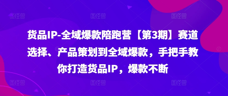 货品IP全域爆款陪跑营【第3期】赛道选择、产品策划到全域爆款，手把手教你打造货品IP，爆款不断-梦凌网创