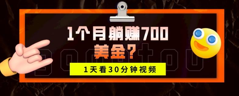 1天看30分钟视频，1个月躺赚700美金？-梦凌网创