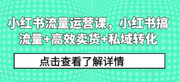 小红书流量运营课，小红书搞流量+高效卖货+私域转化-梦凌网创