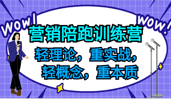 营销陪跑训练营，轻理论，重实战，轻概念，重本质，适合中小企业和初创企业的老板-梦凌网创