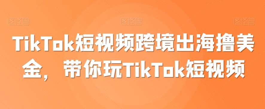TikTok短视频跨境出海撸美金，带你玩TikTok短视频-梦凌网创