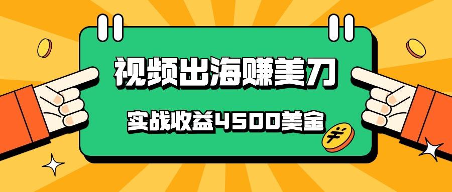 国内爆款视频出海赚美刀，实战收益4500美金，批量无脑搬运，无需经验直接上手-梦凌网创