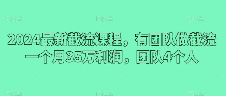 2024最新截流课程，有团队做截流一个月35万利润，团队4个人-梦凌网创