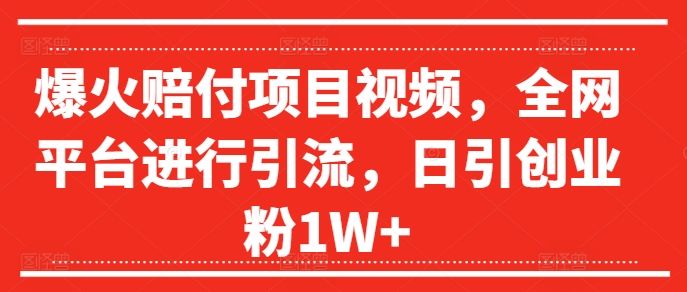 爆火赔付项目视频，全网平台进行引流，日引创业粉1W+【揭秘】-梦凌网创