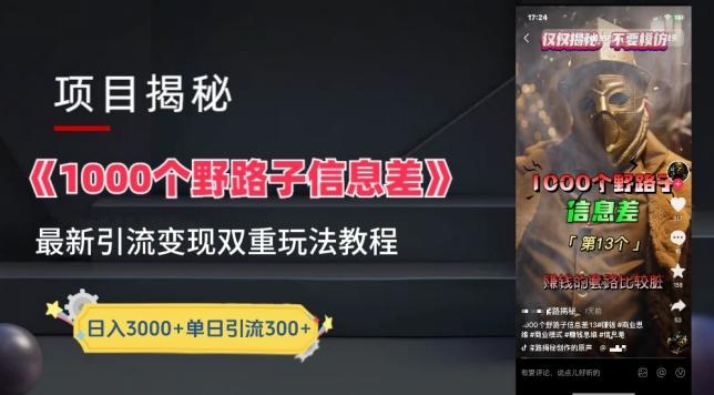 一千个野路子信息差最新玩法教程-变现+引流的玩法具体拆解【揭秘】-梦凌网创