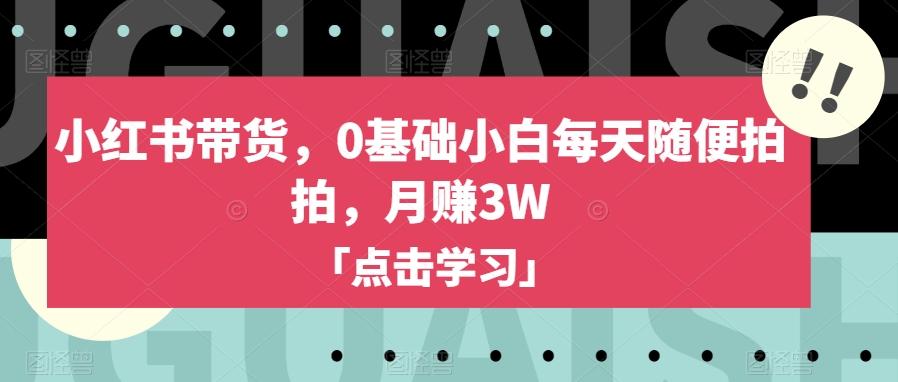 小红书带货，0基础小白每天随便拍拍，月赚3W【揭秘】-梦凌网创