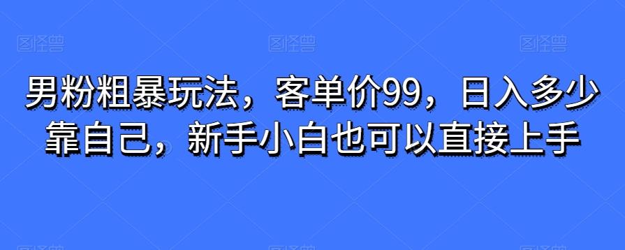 男粉粗暴玩法，客单价99，日入多少靠自己，新手小白也可以直接上手-梦凌网创