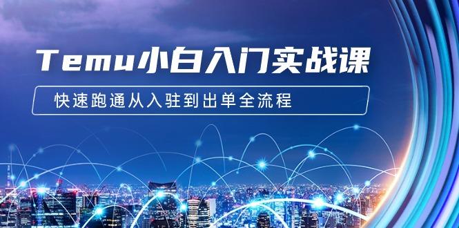 (9295期)Temu小白入门实战课：跨境拼多多电商培训 快速跑通从入驻到出单全流程-12节-梦凌网创