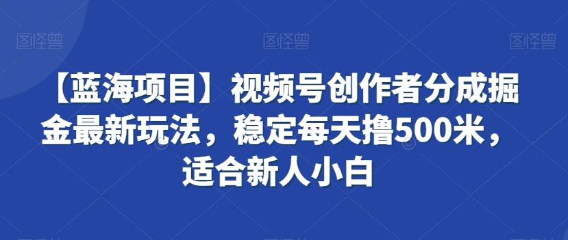 【蓝海项目】视频号创作者分成掘金最新玩法，稳定每天撸500米，适合新人小白【揭秘】-梦凌网创