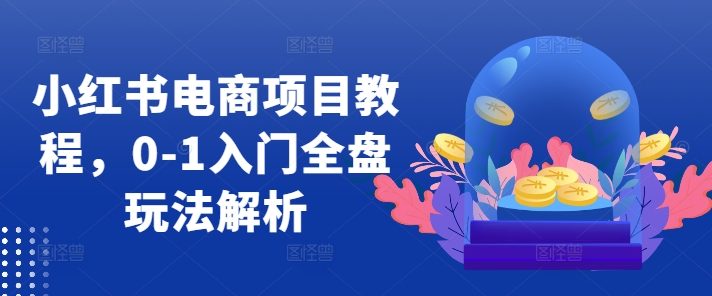 小红书电商项目教程，0-1入门全盘玩法解析-梦凌网创