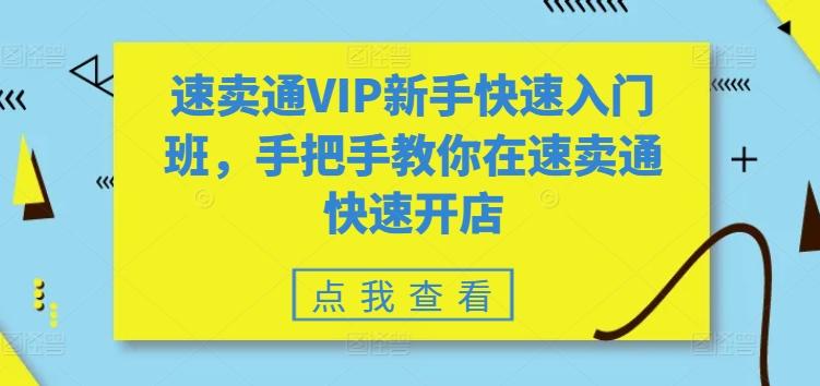 速卖通VIP新手快速入门班，手把手教你在速卖通快速开店-梦凌网创