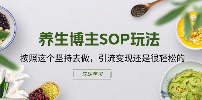 养生博主SOP玩法，按照这个坚持去做，引流变现还是很轻松的-梦凌网创