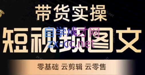 鑫哥·2024零基础短视频带货实操营-梦凌网创