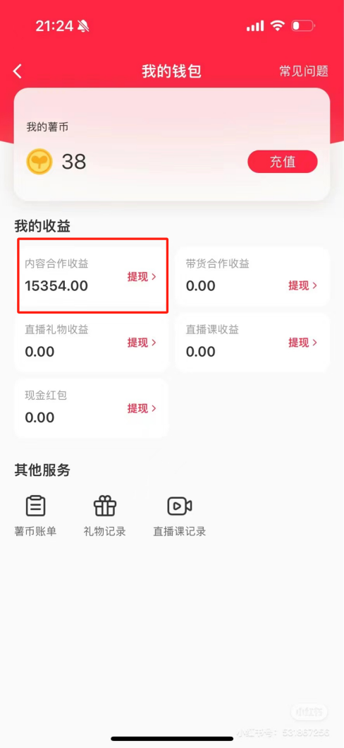 热门评论引爆小红书流量，作品制作简单，广告接到手软，月入过万不是梦-梦凌网创