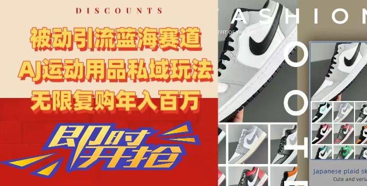 被动引流蓝海赛道，AJ运动用品私域玩法，无限复购年入百万【揭秘】-梦凌网创
