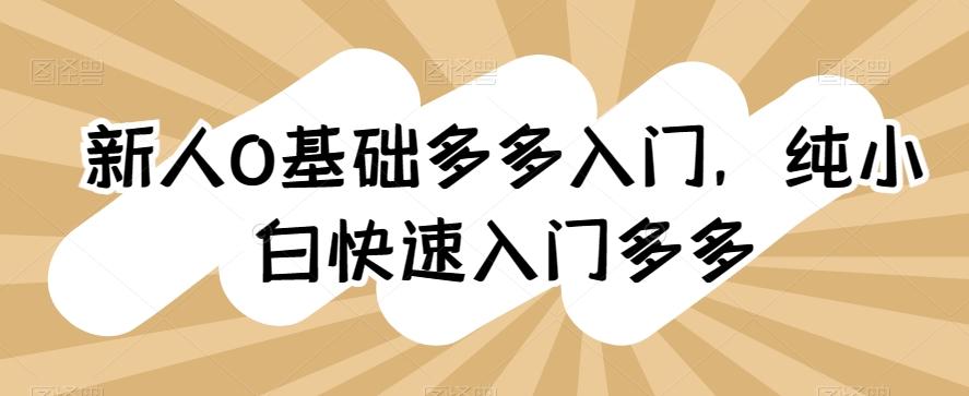 新人0基础多多入门，​纯小白快速入门多多-梦凌网创