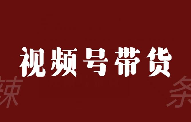 视频号带货联盟，赚信息差的带货钱，只需手机随时随地都可以做！-梦凌网创