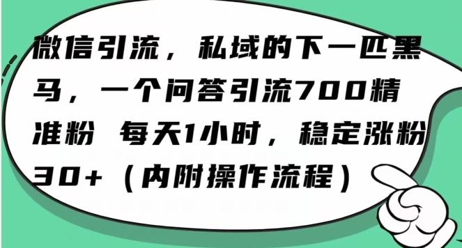 怎么搞精准创业粉？微信新赛道，每天一小时，利用Ai一个问答日引100精准粉-梦凌网创