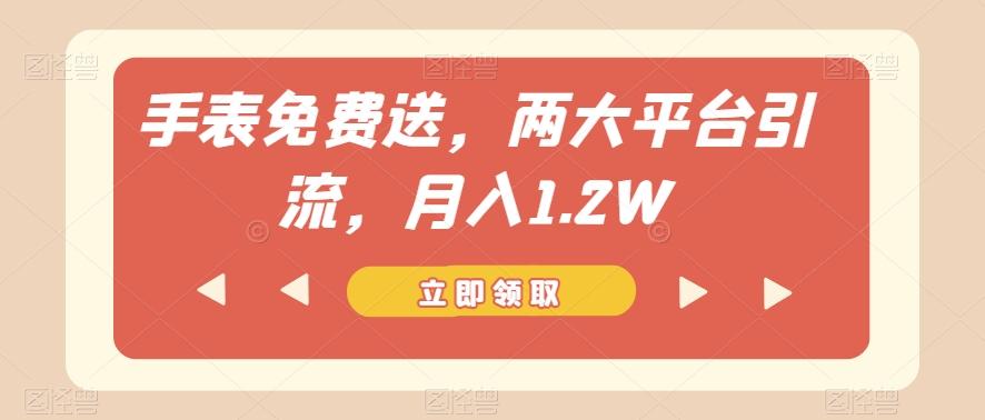 手表免费送，两大平台引流，月入1.2W【揭秘】-梦凌网创