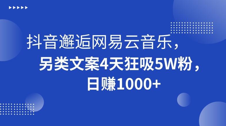 抖音邂逅网易云音乐，另类文案4天狂吸5W粉，日赚1000+【揭秘】-梦凌网创