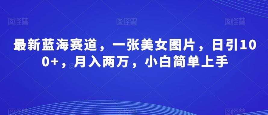 最新蓝海赛道，一张美女图片，日引100+，月入两万，小白简单上手-梦凌网创