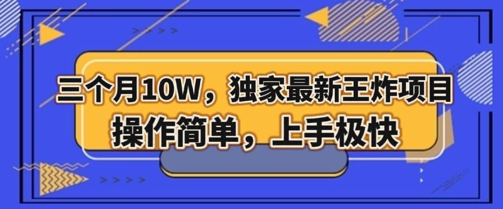 三个月10W，独家最新王炸项目！操作简单，上手极快【揭秘】-梦凌网创