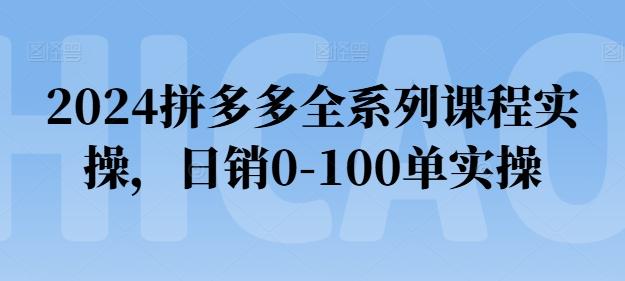 2024拼多多全系列课程实操，日销0-100单实操【必看】-梦凌网创