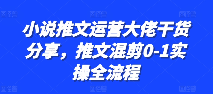 小说推文运营大佬干货分享，推文混剪0-1实操全流程-梦凌网创