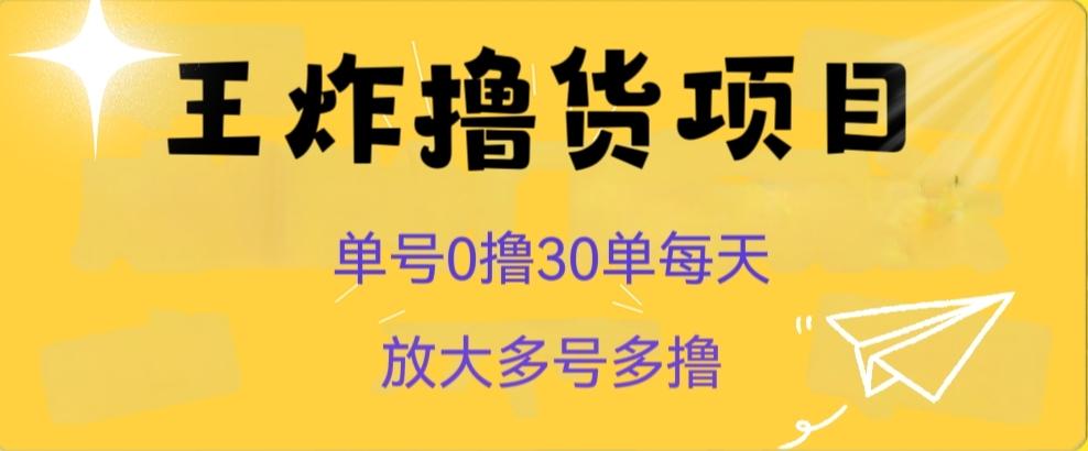 王炸撸货项目，单号0撸30单每天，多号多撸【揭秘】-梦凌网创
