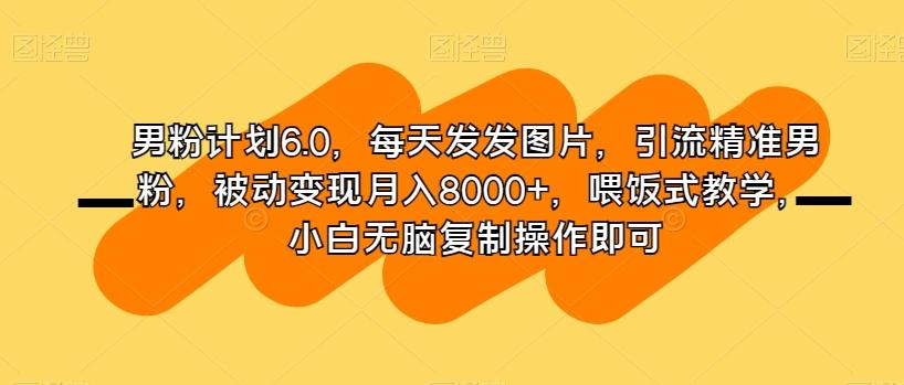 男粉计划6.0，每天发发图片，引流精准男粉，被动变现月入8000+，喂饭式教学，小白无脑复制操作即可-梦凌网创