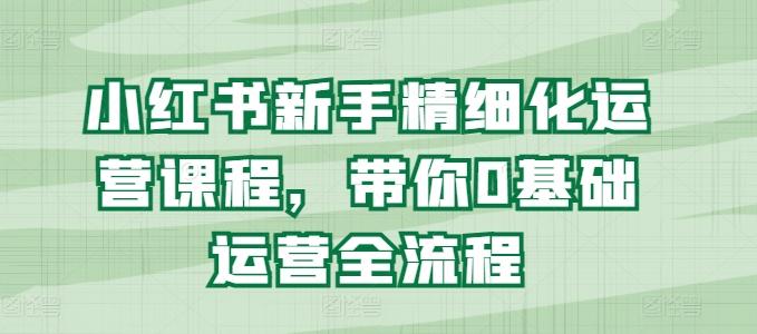 小红书新手精细化运营课程，带你0基础运营全流程-梦凌网创