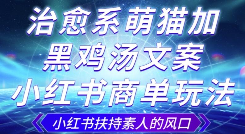 治愈系萌猫加+黑鸡汤文案，小红书商单玩法，3~10天涨到1000粉，一单200左右-梦凌网创